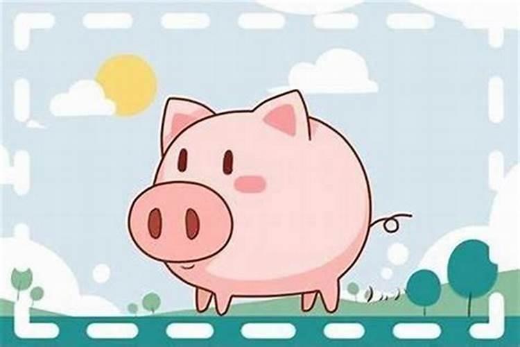 95年女猪2026年运势