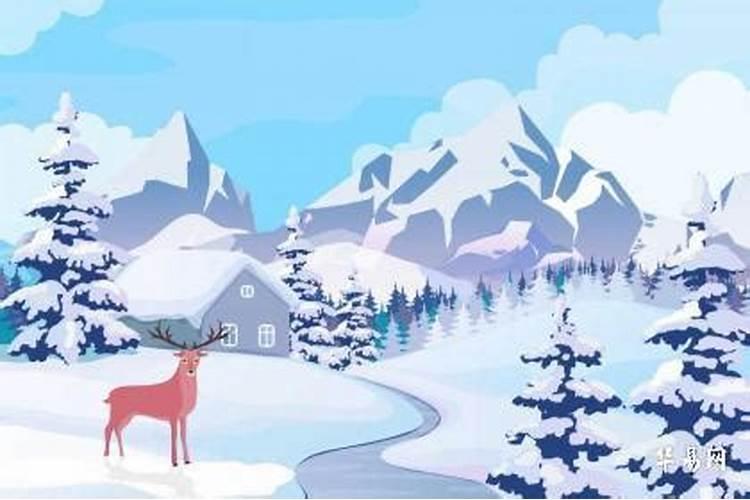 腊月哪天的虎宝宝出生好？