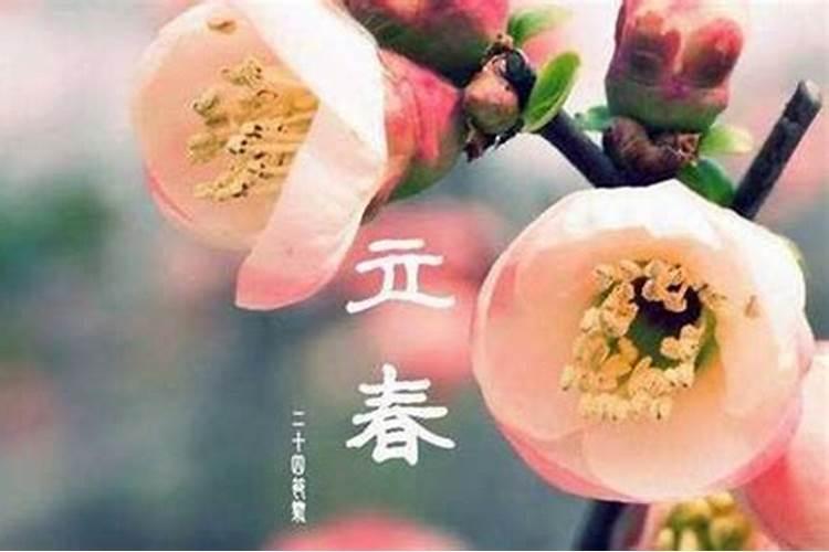 立春吃什么带来好运？