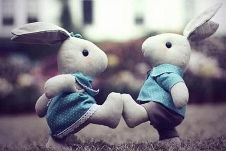 两个属兔的人适合做夫妻吗？