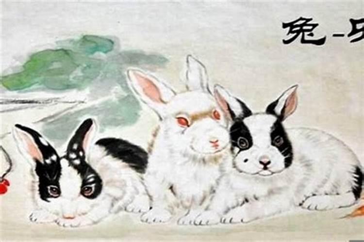 冲太岁是什么意思属兔？