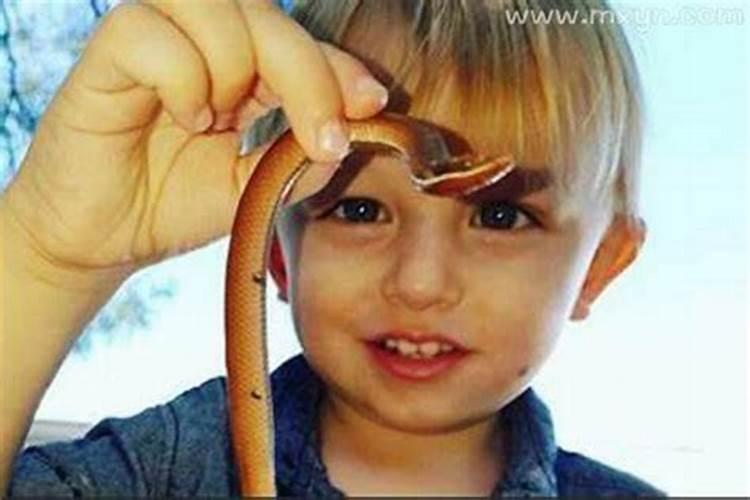 梦到儿子被蛇咬出血了