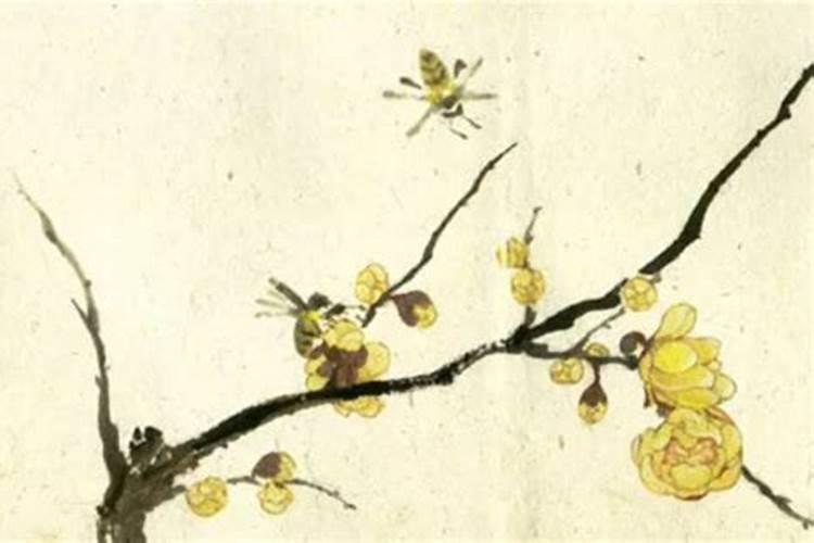 二月二十八号出生的人