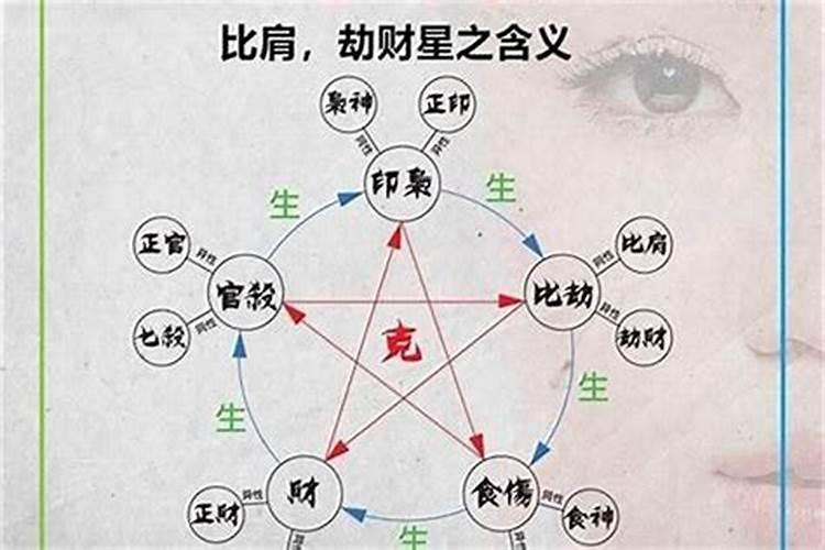 八字算命中的比肩是什么意思？