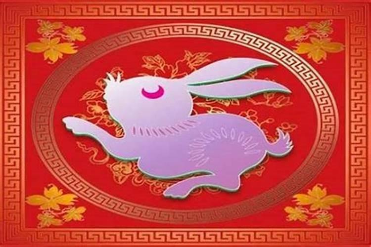 2026属相兔全年运势如何？