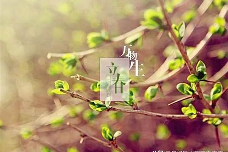 19年立春哪一天？