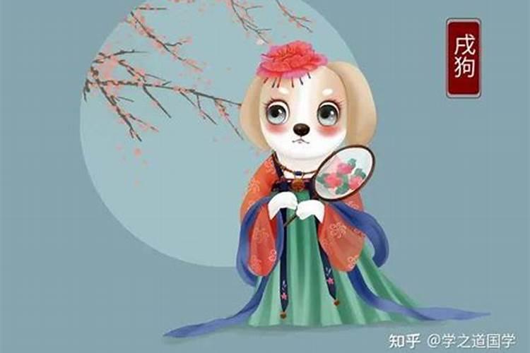 立春属狗的运势