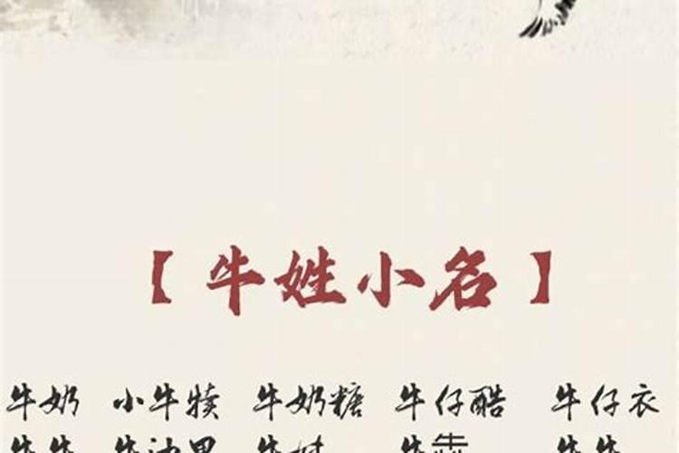 牛年腊月12出生男孩