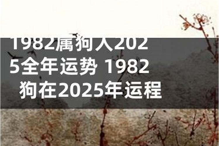 1982年的在2026年的运程