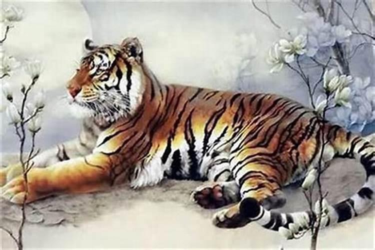 立秋之后出生的虎宝宝好吗？