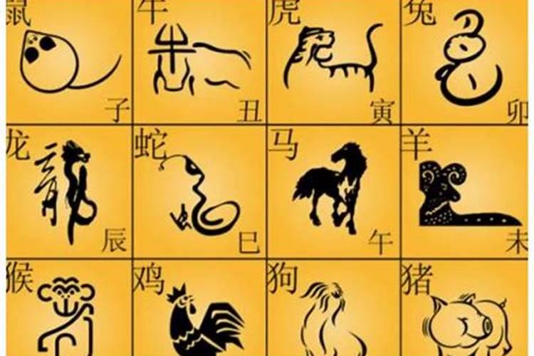 梦字代表什么生肖？