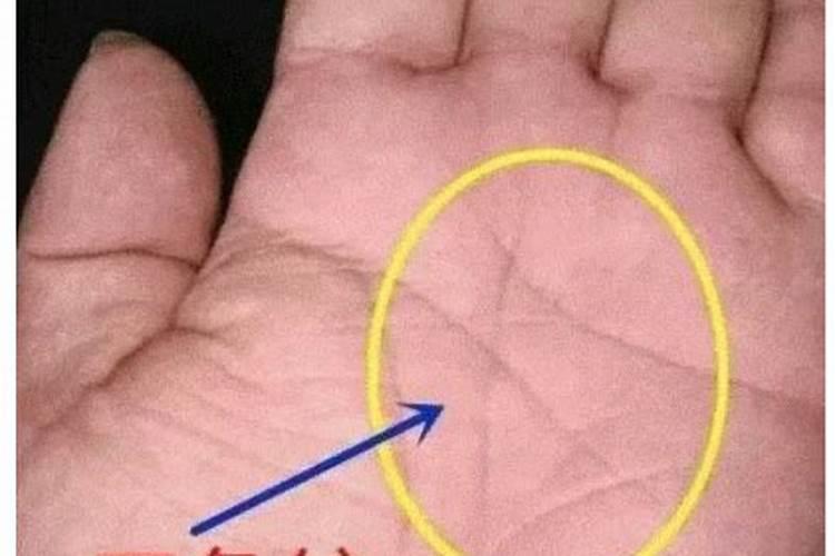 哪里可以看手相运势？