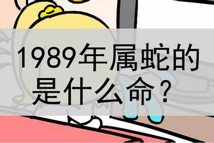 1989年蛇什么命？