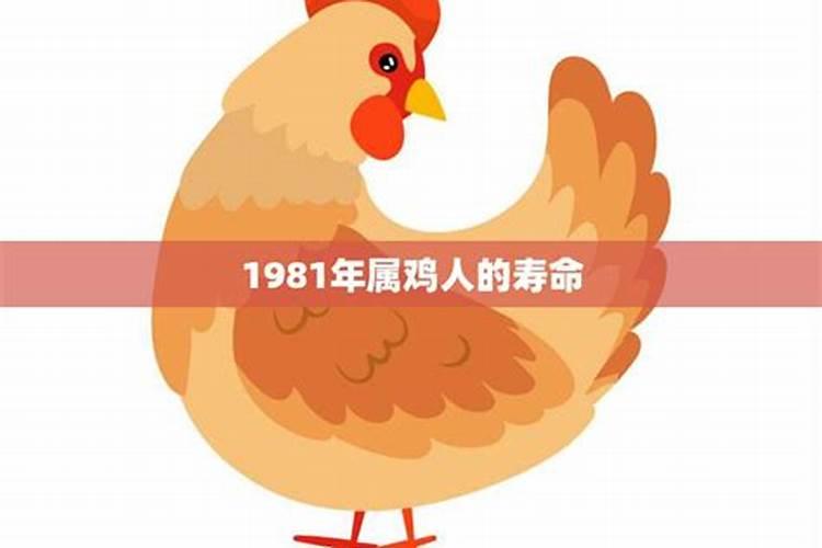 1981年属鸡的人在2026年的运程