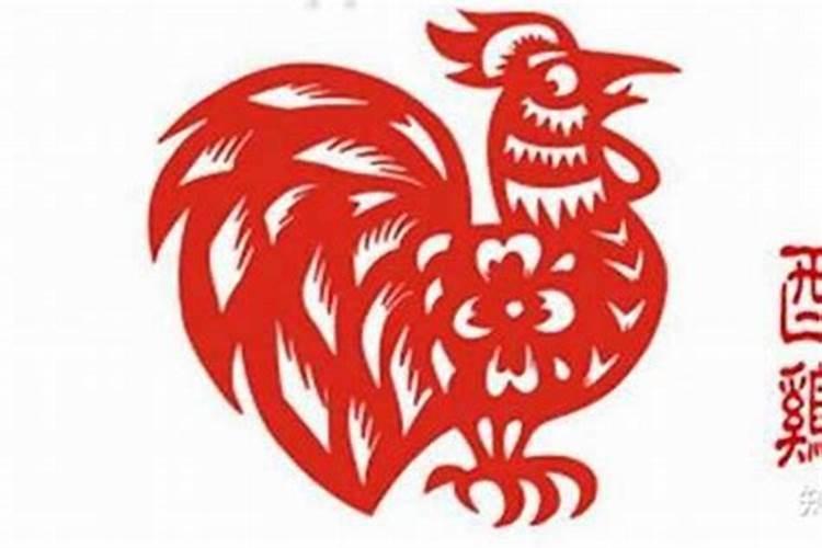 属鸡人六月出生运势如何？