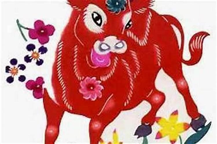 属牛的和属狗的八字合不合