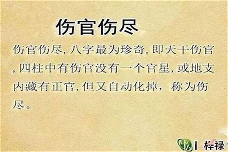 八字里的伤官是什么意思？