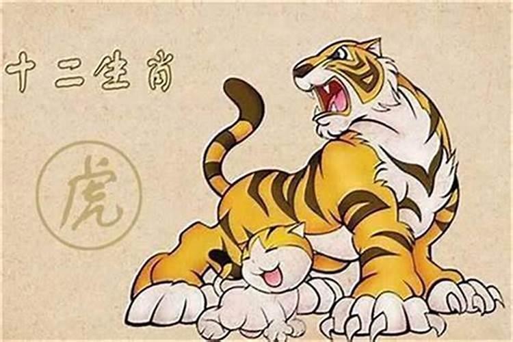 虎年冬至出生的女孩命运