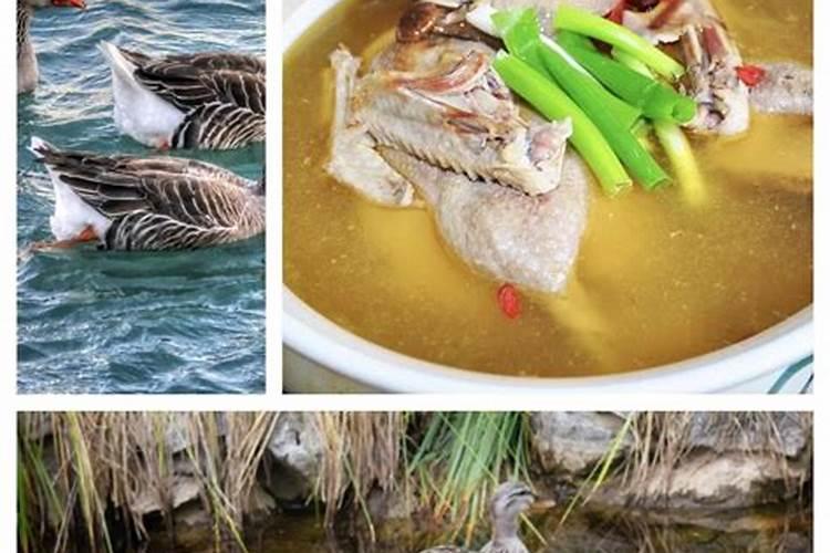 七月十五吃鸭子习俗