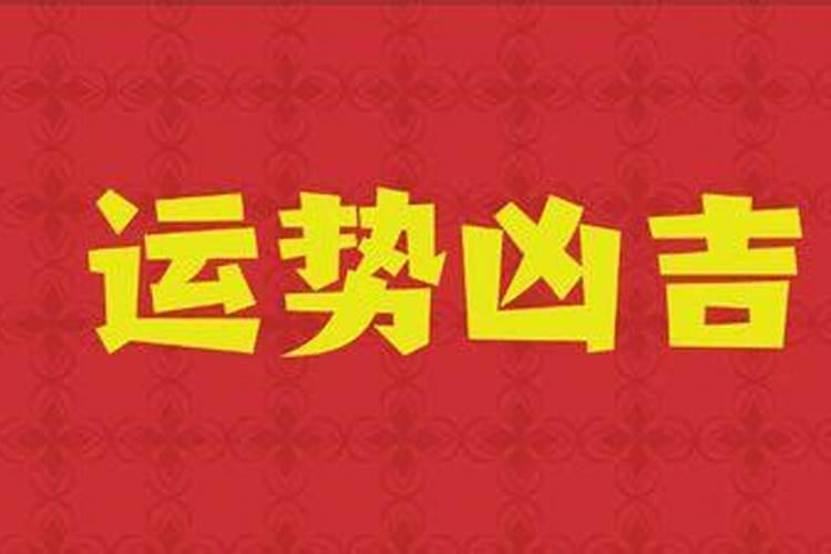 96年生人女属鼠2026年运程详细
