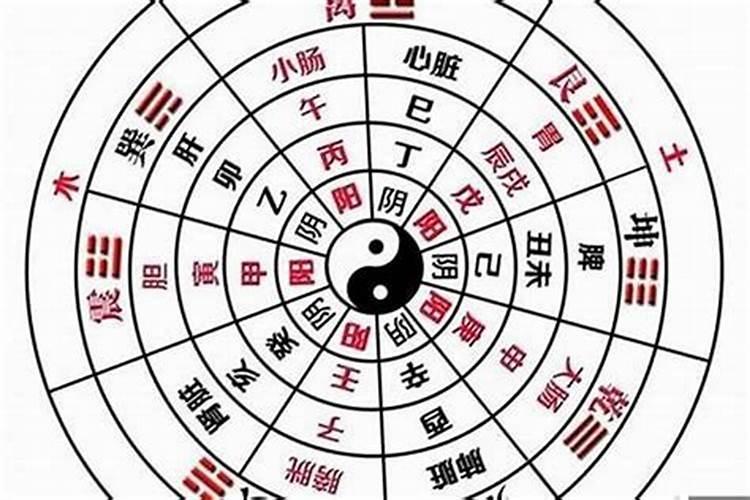 怎么根据生辰八字看阴阳？
