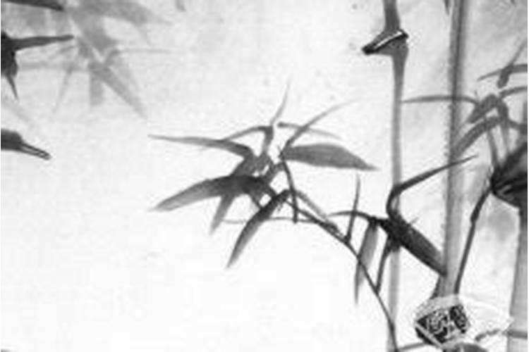 本命年是过周岁还是虚岁？