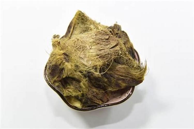 太岁对肿瘤有什么作用？