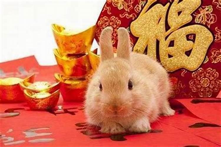 今年兔年犯太岁买个什么走远？