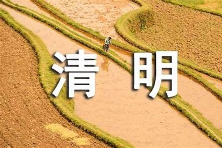 清明节祭祖怎么发言？