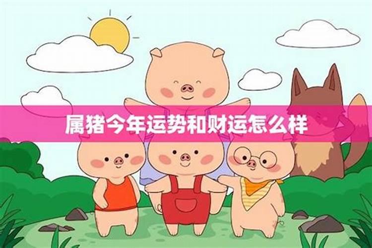 属猪和属龙今年运势如何？