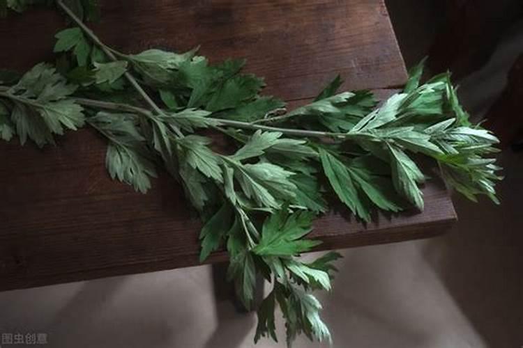 端午节艾蒿插在哪里？