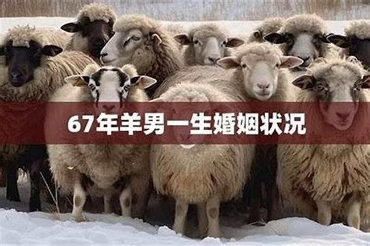 六七年羊女在2026年的运程