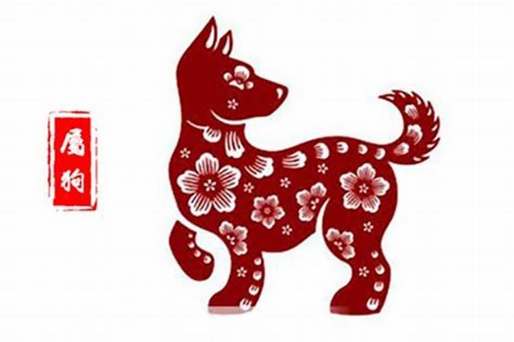 生肖狗今日最新消息