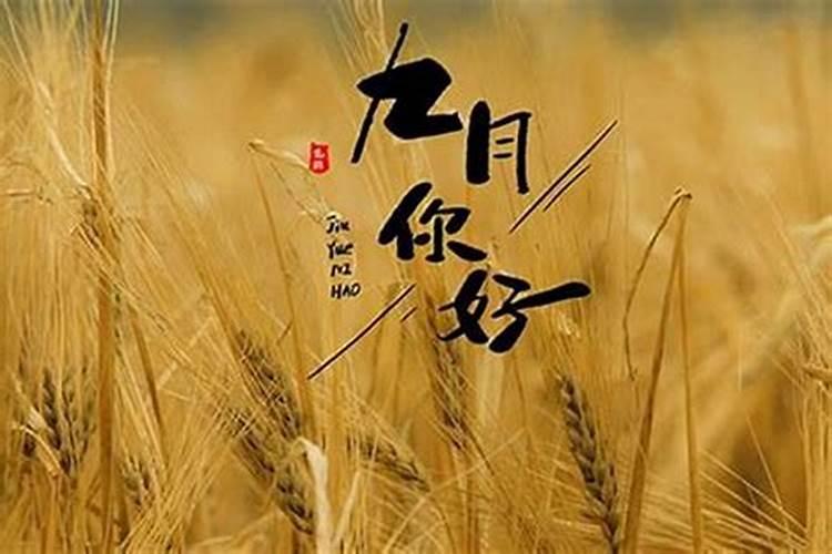 1972年九月初九男命运