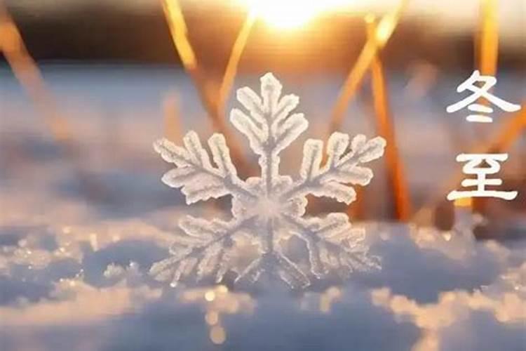 冬至离哪个节日最近？