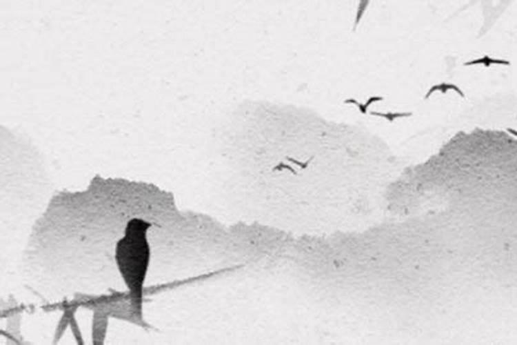 水多财绝婚姻不顺？