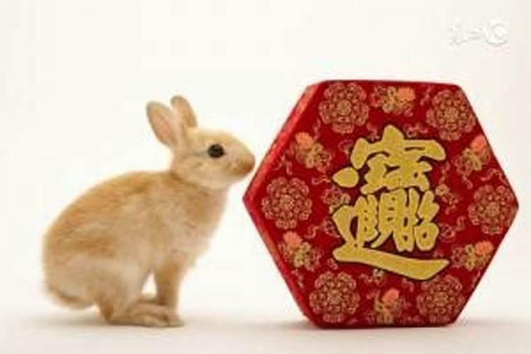 99属兔的人2026年运程