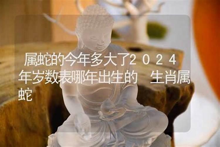 属蛇的人今年多大了2026？