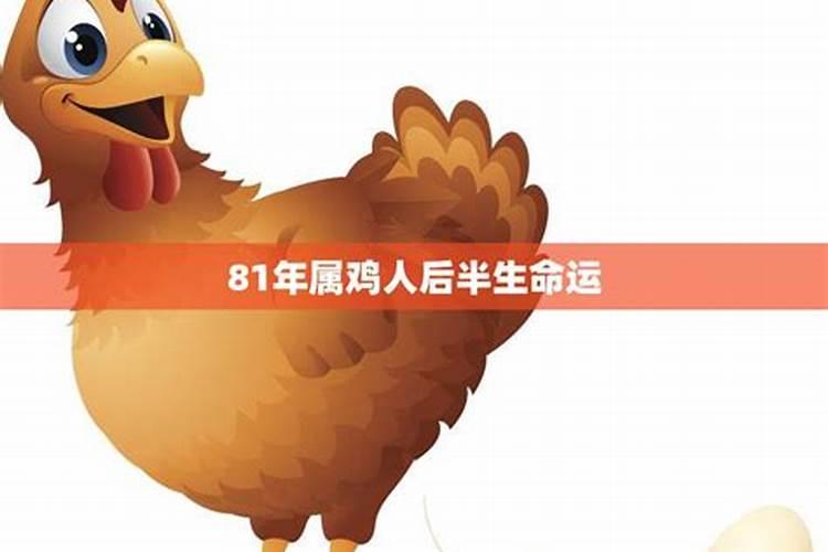 81年属鸡的2026年运势怎样？