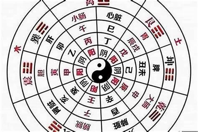 八字分阴阳吗为什么？