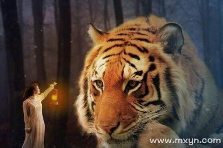 梦到老虎追孩子是什么意思？