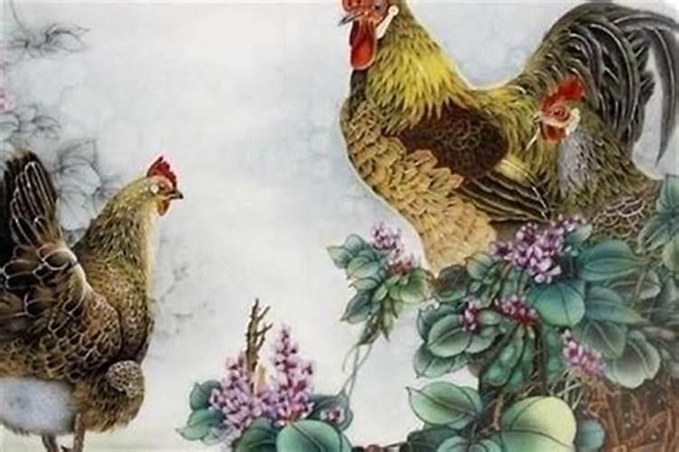 鸡年二月二出生