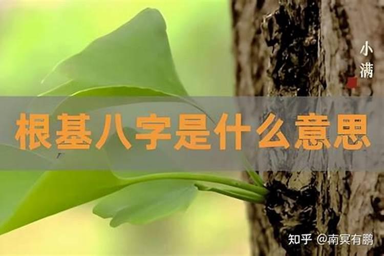 算命的说我有仙根是什么意思？