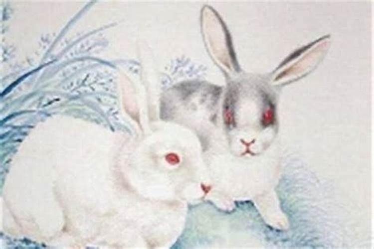 1987年属兔女婚姻不顺