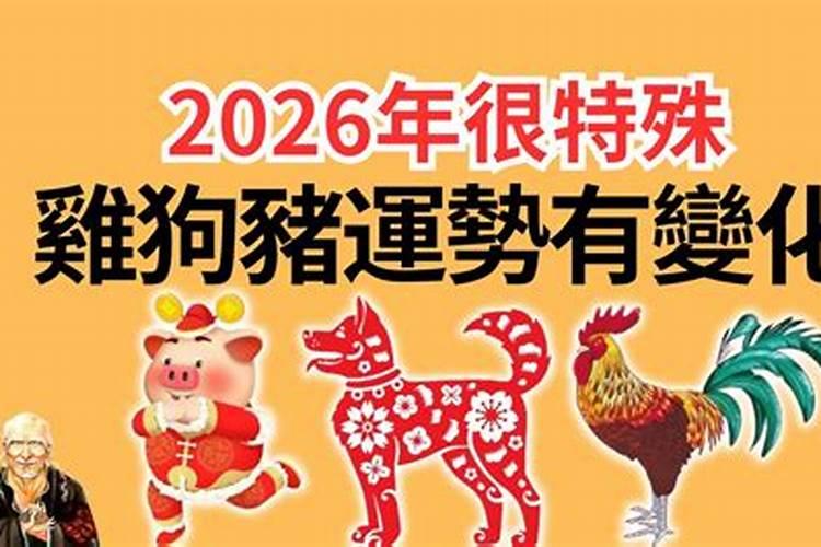 2026狗年鸡运程如何？