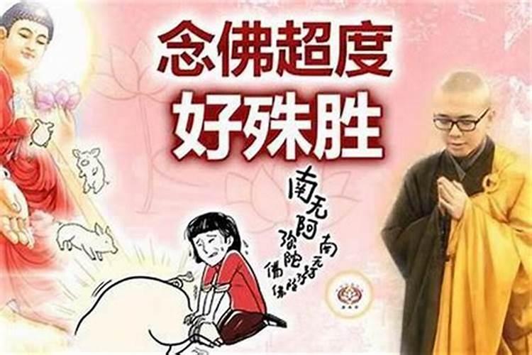 天津大悲院可以超度婴灵吗？