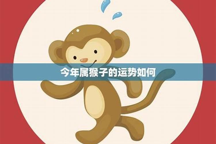 猴子属相今年运势如何？