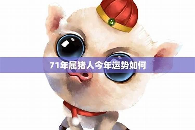 71年12月猪男运势如何？