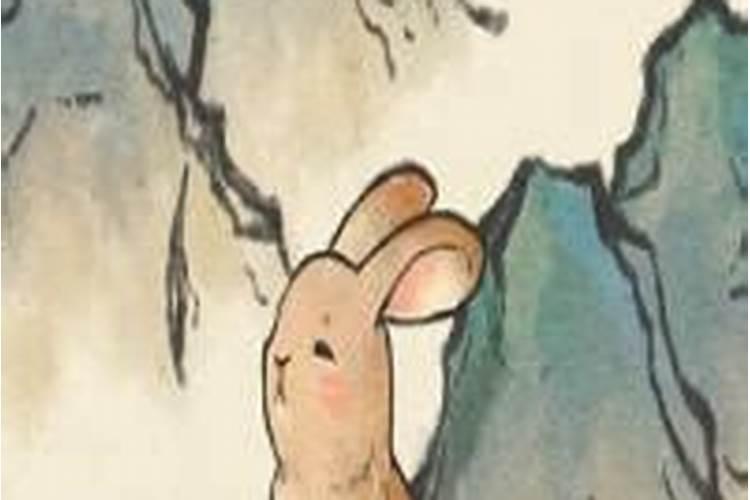 属虎属兔人的2026年运势及运程