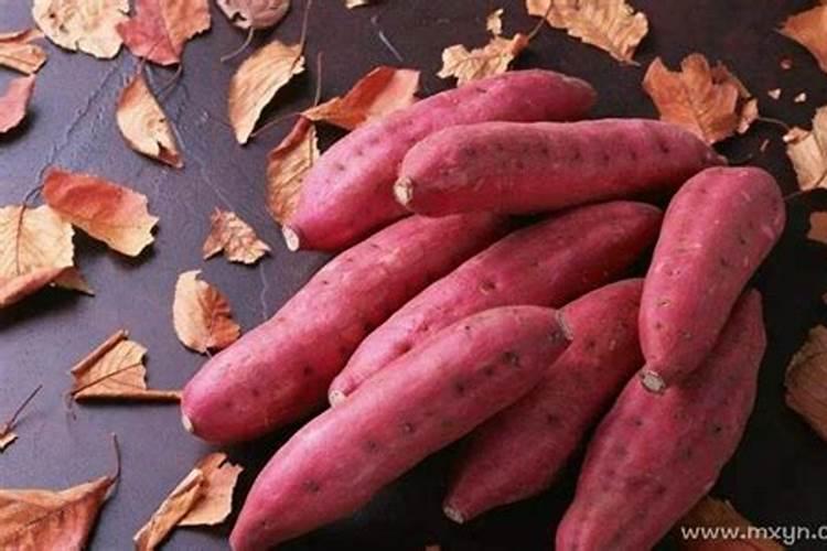 梦见红薯有生女孩的吗？